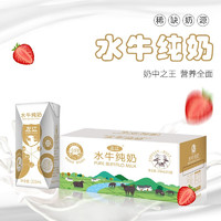 左江 水牛奶纯奶210ml*10盒高钙学生网红营养早餐奶会结奶皮的牛奶1提 左江水牛纯奶210ml*10