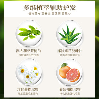 jason 捷森 茶树调理润发乳护发素 355ml