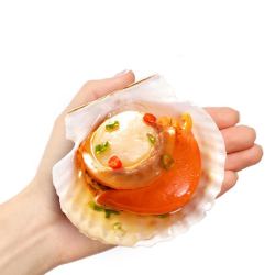 zoneco獐子岛4156一件需下单2件zoneco獐子岛鲜汁半壳扇贝520g6只