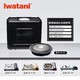 Iwatani 岩谷 便携式卡式炉专用便携箱户外卡式炉炉具烤盘一体式野炊手提箱子(不含炉子，烤盘）