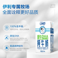 yili 伊利 QQ星原生DHA纯牛奶儿童营养牛奶125ml*16盒*2箱