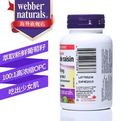 Webber Naturals 伟博 天然Webber Naturals加拿大进口葡萄籽精华胶囊含花青素 葡萄籽90粒