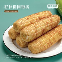 傣王稻 版纳香糯小玉米 1.5kg以上8-10根 真空甜黏玉米健康轻食早餐烧烤