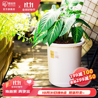 IRIS 爱丽思 花盆大号深型加厚花盆 14号 白色  (口径46.5cm)