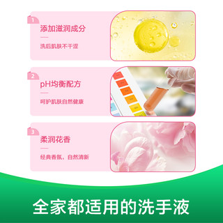 Dettol 滴露 健康杀菌抑菌滋润倍护洗手液500g*3呵护双手