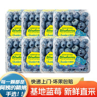 卉双 进口秘鲁新鲜大蓝莓当季时令蓝莓水果生鲜125g/带盒非怡颗 实惠装 4盒装 125g