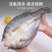 鱻谣开背海鲈鱼450g新鲜冷冻鲈鱼海鱼卢鱼海鲜水产烤鱼半成品商用