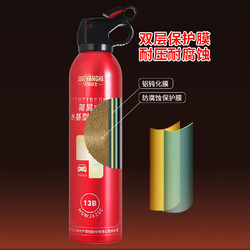 灭焰仕 简易型水基灭火器13B620ml