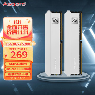 Asgard 阿斯加特 弗雷系列 钛银甲 DDR5 5200MHz 台式机内存 马甲条 白色 16GB 8GBx2