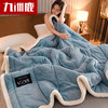 九洲鹿 三层加厚毛毯 150*200cm法兰绒毯子冬季双面保暖空调午睡盖毯