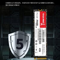 Great Wall 长城 4TB SSD固态硬盘 M.2接口（NVMe协议）PCIe4.0 GW7000