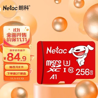 Netac 朗科 ?JOY 256GB TF(MicroSD)存储卡 U3 C10 A1 4K P500系列 读速100MB/s 支持4K 不间断录制