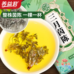 YANGYIJUN 养益君 三月茵陈200g 当季新货 三月嫩茵陈蒿茶茵陈茶