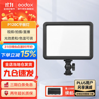 Godox 神牛 补光灯P120C摄影灯单反摄像机相机摄像灯影视拍照婚庆常亮灯光  P120C 标配