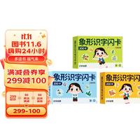幼儿象形识字闪卡全3册 小图形认知记忆力幼小衔接600常用字基础进阶全面均衡发展轻