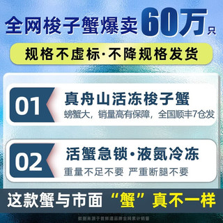 【销量60W+只】舟山超大梭子蟹新鲜蟹活冻大螃蟹飞蟹大肉蟹蟹生鲜 3斤5-8只【99】