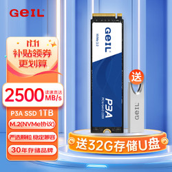 GeIL 金邦 M.2固态硬盘P3A全新高速M.2 NVME PCIE3.0台式机笔记本SSD P3A 1TB 官方标配