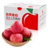 自然搭档 洛川苹果红富士 陕西脆甜苹果产地直发 4枚装（单果150g+）