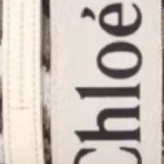 Chloé 蔻依 MOUNTAIN系列 女士单肩包 CHC24SS397L832ZA 多色 小号