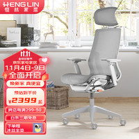 恒林 星云电脑椅CEO老板椅高端人体工学椅董事长办公椅HLC-600 羽灰色（4D扶手）