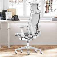 恒林 星云电脑椅CEO老板椅高端人体工学椅董事长办公椅HLC-600 羽灰色