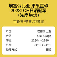 埃塞TOH日晒冠军果果星球咖啡豆 古吉乌拉嘎手冲冷萃单品黑咖啡