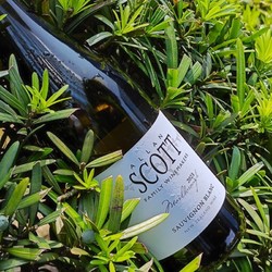 ALLAN SCOTT 新西兰进口马尔堡产区Sauvignon Blanc长相思干白葡萄酒WS91分 2023SCOTT白标整箱6瓶装