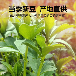惠寻 京东自有品牌  新绿心黑豆农家自产五谷杂粮粗粮 500g*1