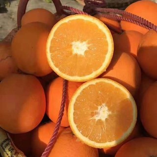 橙之味 江西赣南脐橙 3斤 单果120g+