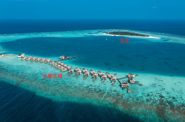 六星品質五星價格！可以看海龜產卵，種珊瑚！馬爾代夫微拉瓦魯悅椿度假村 2沙1水一價全包套餐