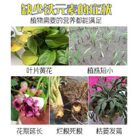 启登 硫酸亚铁花肥料喜酸植物栀子花茶花杜鹃花桂花水溶肥防黄叶家用肥