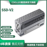 酷里奥SSD-V2 2280 M.2规格散热器全回流焊2根逆重力热管双层硅胶片