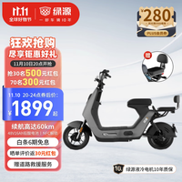 LUYUAN 绿源 LIVA6 48V16A新国标电动自行车