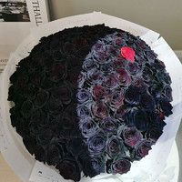 羽帛 情人节鲜花同城配送厄瓜多尔199朵黑玫瑰花束生日礼物纪念日告白送女友老婆北京上海南京