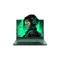 机械革命 旷世G16 16英寸游戏本（i5-13500H、16GB、1TB、RTX4060）