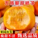 糖心巧克力脆柿子广西礼盒甜柿新鲜水果4.6斤单果140g起