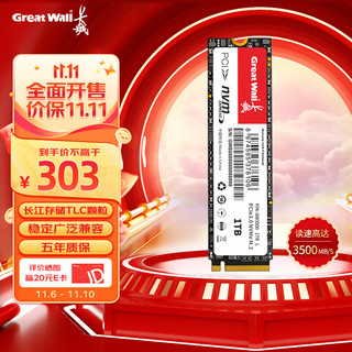 Great Wall 长城 1TB SSD固态硬盘 M.2接口(NVMe协议)PCIe 3.0x4 GW3500系列 读速可高达3500MB/s