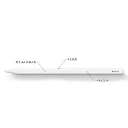 Apple 苹果 Pencil (第二代)适用于iPad Air/iPad Pro