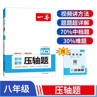 一本初中数学压轴题八年级全一册2024初中数学三角形勾股定理一题多解思维训练期末冲刺中考必刷真题训练