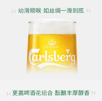 Carlsberg 嘉士伯 醇滑啤酒 500ml*24罐