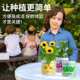 Bloom Life 匠心绽放 IAM City Farmer草莓罐头盆栽进口土壤桌面种植儿童趣味种植diy罐头生日节日礼物