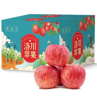 正宗陕西洛川红富士苹果 净重8.5- 9斤 大果  果径80-90mm