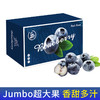 Mr.Seafood 京鲜生 国产蓝莓 Jumbo大果 6盒礼盒装 约125g/盒 新鲜水果