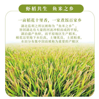 西湖农夫香 当季新米 农夫香丝苗米 纤长似玉 长粒香米 大米2.5kg(5斤)