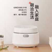 Panasonic 松下 饭墩电饭煲4L家用3-8人智能电饭锅 备长炭内胆涂层 智能预约定时快速煮饭 SR-DK151