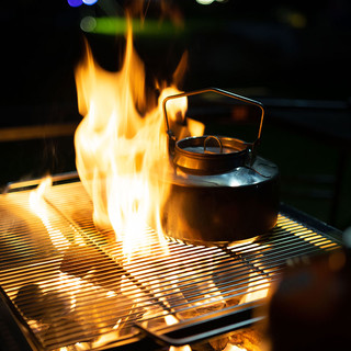 BLACKDEER 黑鹿 焚火架不锈钢野餐烤架折叠便携冬季生碳取暖柴火家用烧烤炉