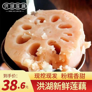 洪湖农家 莲藕 2.5kg