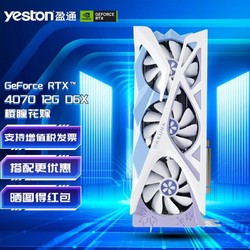 yeston 盈通 RTX 4070 12G D6X 樱瞳花嫁