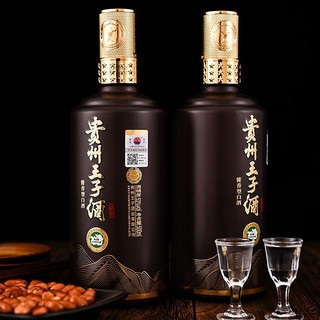 州王子（GZWZJ）贵州王子酒 酱香型 53度 高度白酒 粮食酿造 私藏版 500ml*2 礼盒装