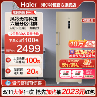 Haier 海尔 BD-228WL 冰柜 228L 金色